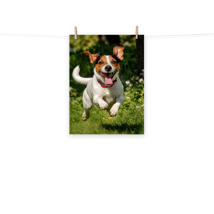 Jack Russell Terrier Photo paper poster - PosterfyAI.com