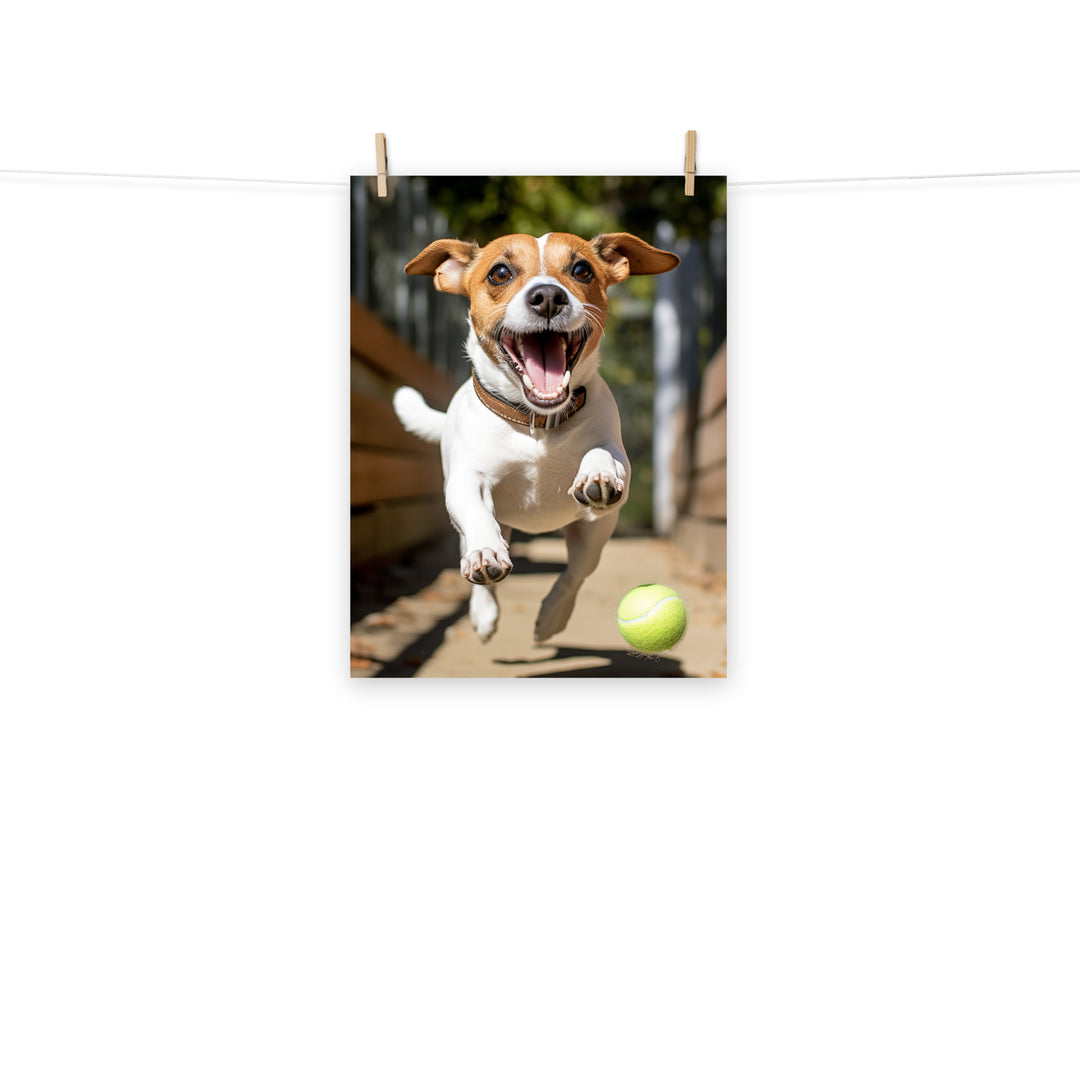 Jack Russell Terrier Photo paper poster - PosterfyAI.com