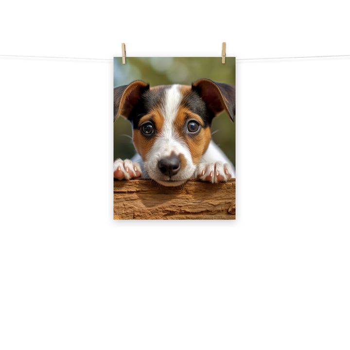 Jack Russell Terrier Photo paper poster - PosterfyAI.com