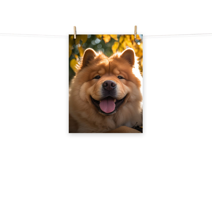 Chow Chow Photo paper poster - PosterfyAI.com
