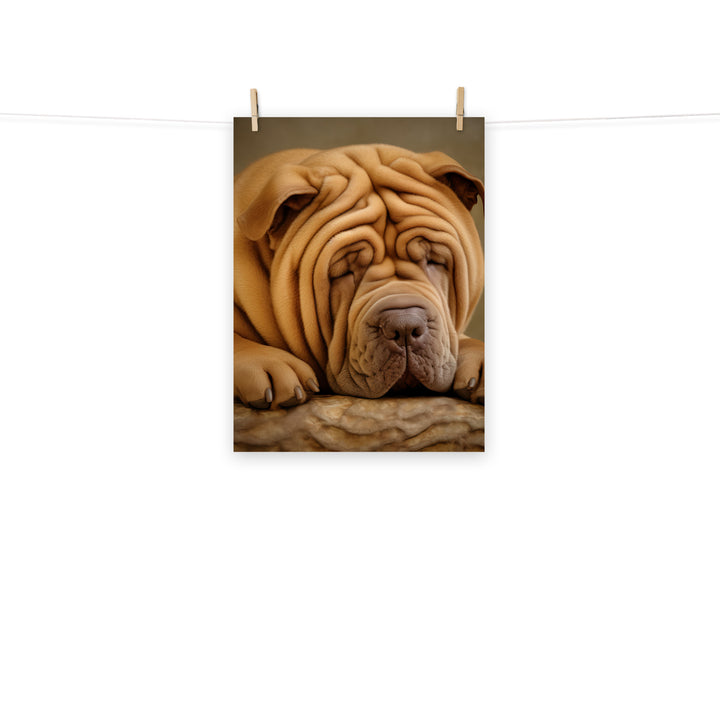 Shar Pei Photo paper poster - PosterfyAI.com
