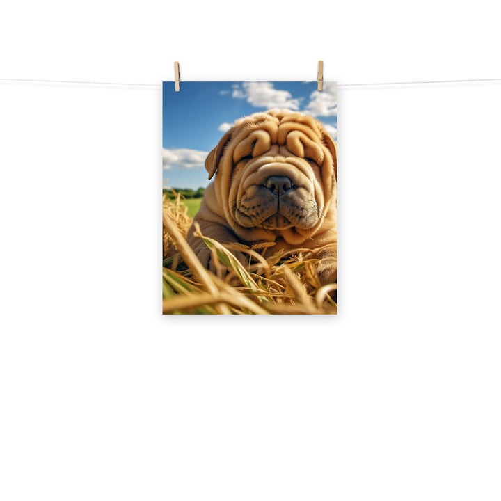 Shar Pei Photo paper poster - PosterfyAI.com