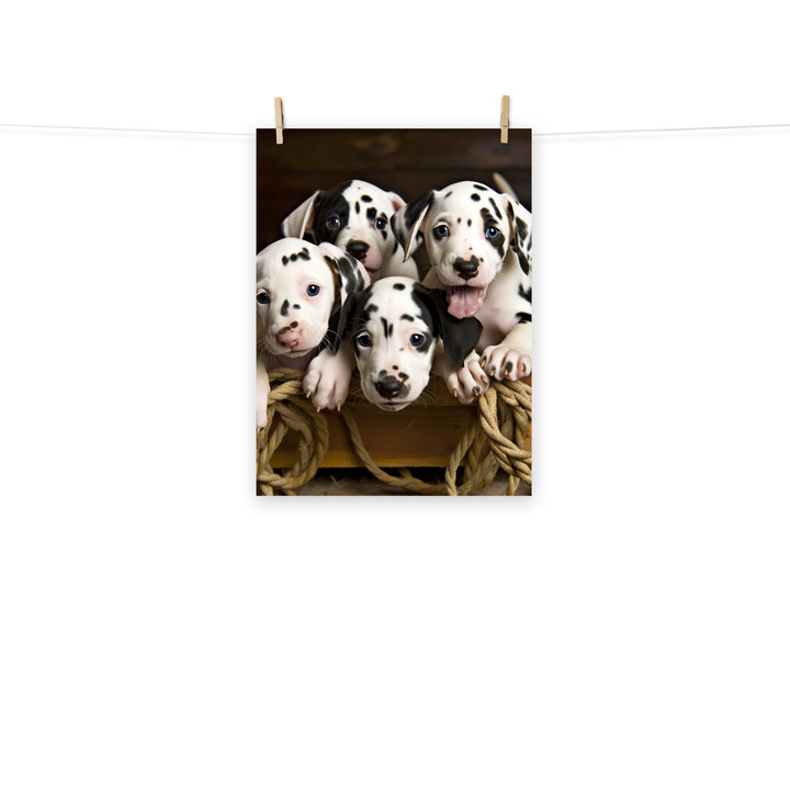 Dalmatian Photo paper poster - PosterfyAI.com