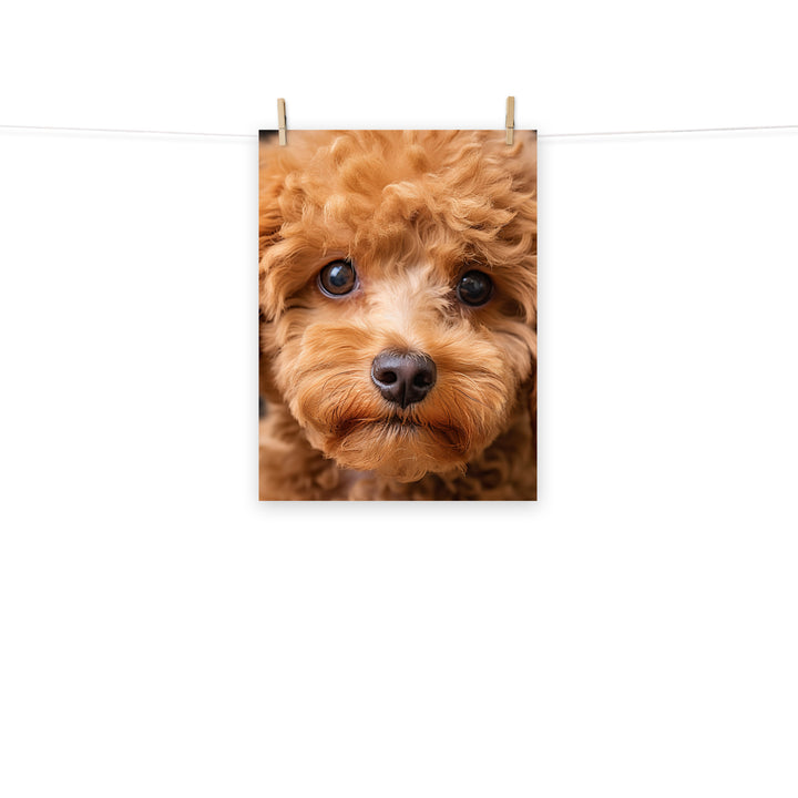 Poodle Photo paper poster - PosterfyAI.com