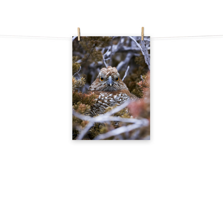 Grouse Photo paper poster - PosterfyAI.com