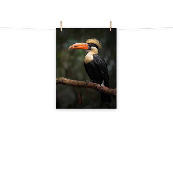 Hornbill Photo paper poster - PosterfyAI.com