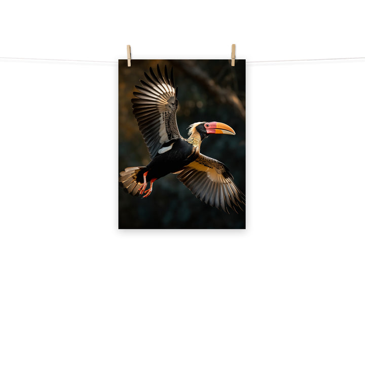 Hornbill Photo paper poster - PosterfyAI.com