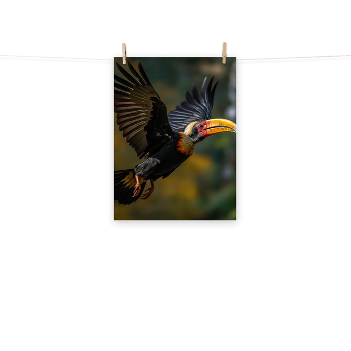 Hornbill Photo paper poster - PosterfyAI.com
