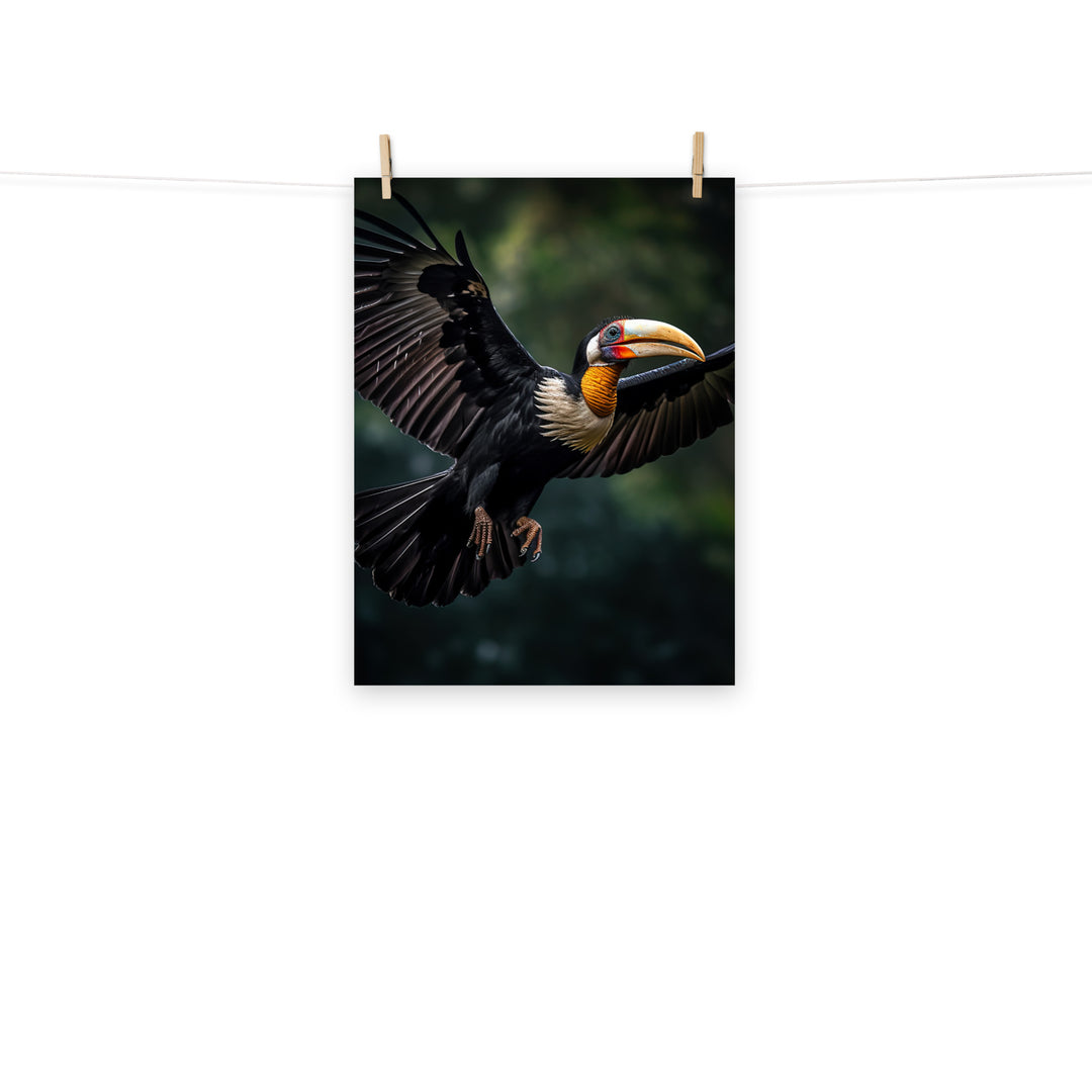 Hornbill Photo paper poster - PosterfyAI.com