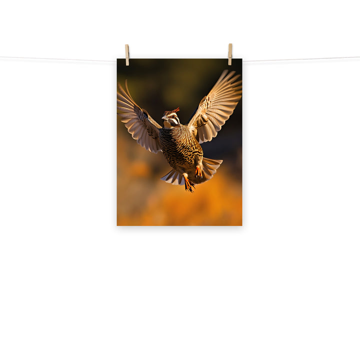 Quail Photo paper poster - PosterfyAI.com