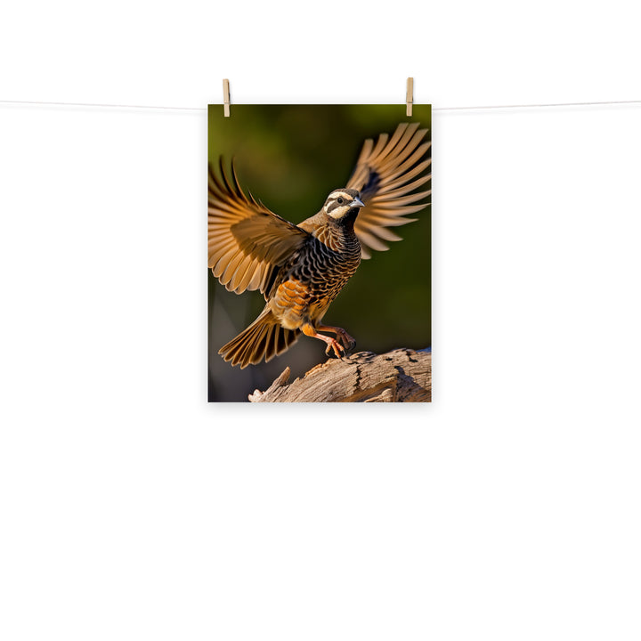 Quail Photo paper poster - PosterfyAI.com