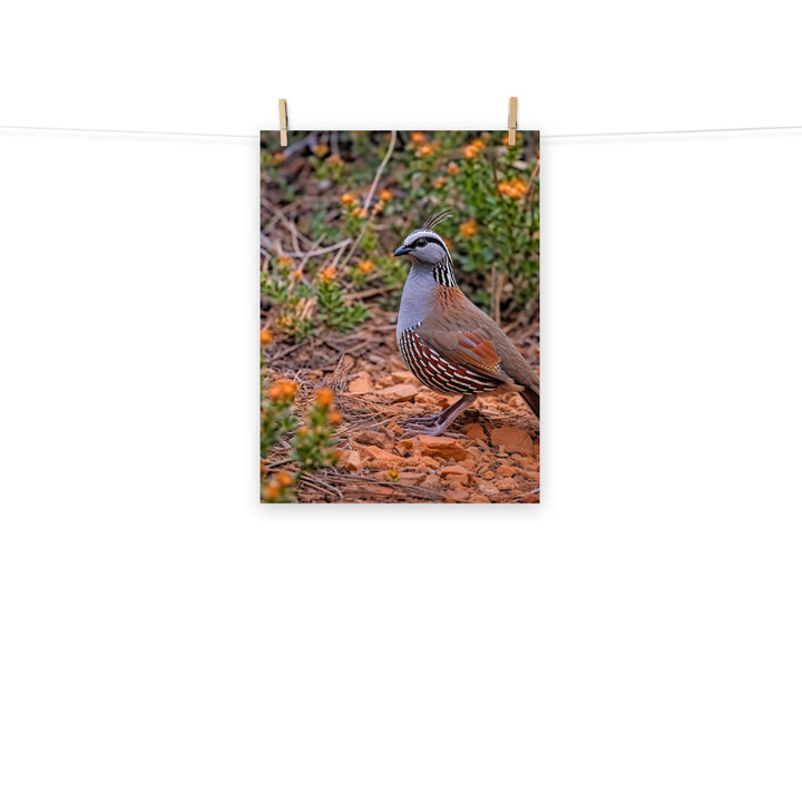 Quail Photo paper poster - PosterfyAI.com