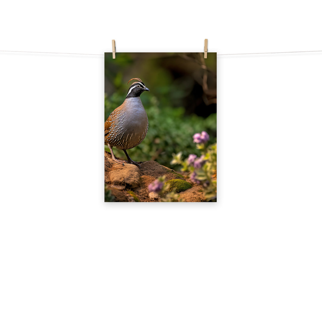 Quail Photo paper poster - PosterfyAI.com