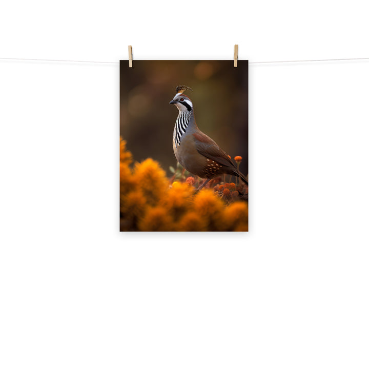 Quail Photo paper poster - PosterfyAI.com