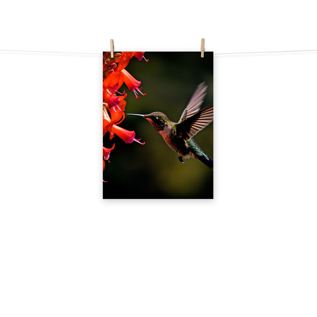Hummingbird Photo paper poster - PosterfyAI.com