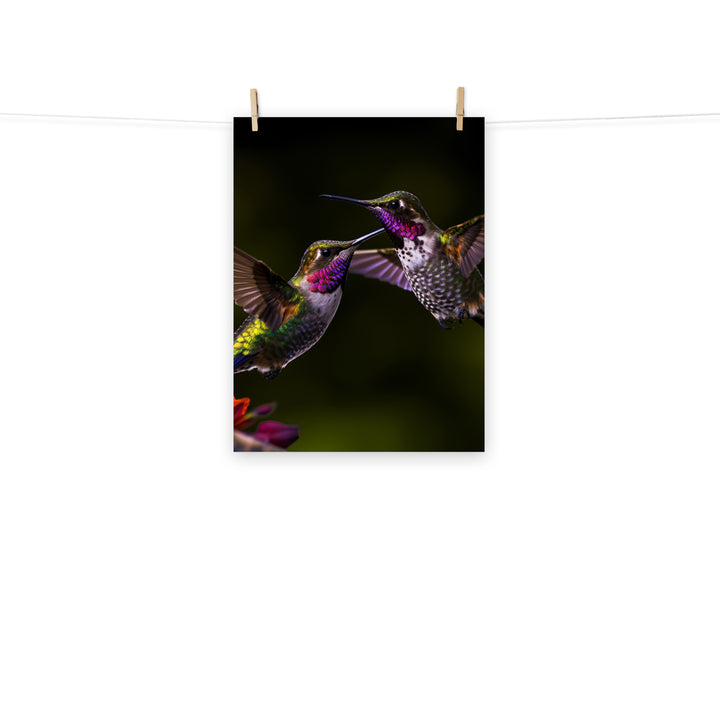 Hummingbird Photo paper poster - PosterfyAI.com