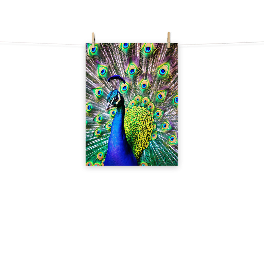 Peacock Photo paper poster - PosterfyAI.com
