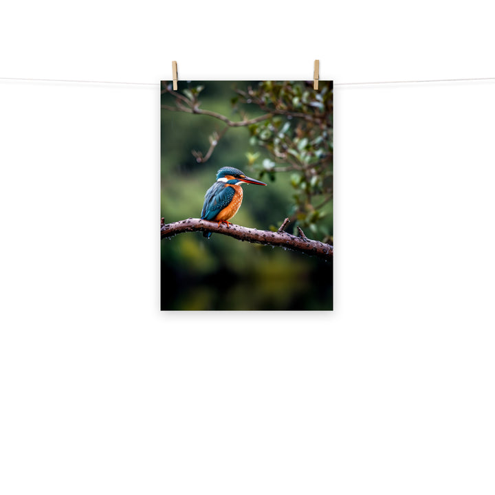 Kingfisher Photo paper poster - PosterfyAI.com