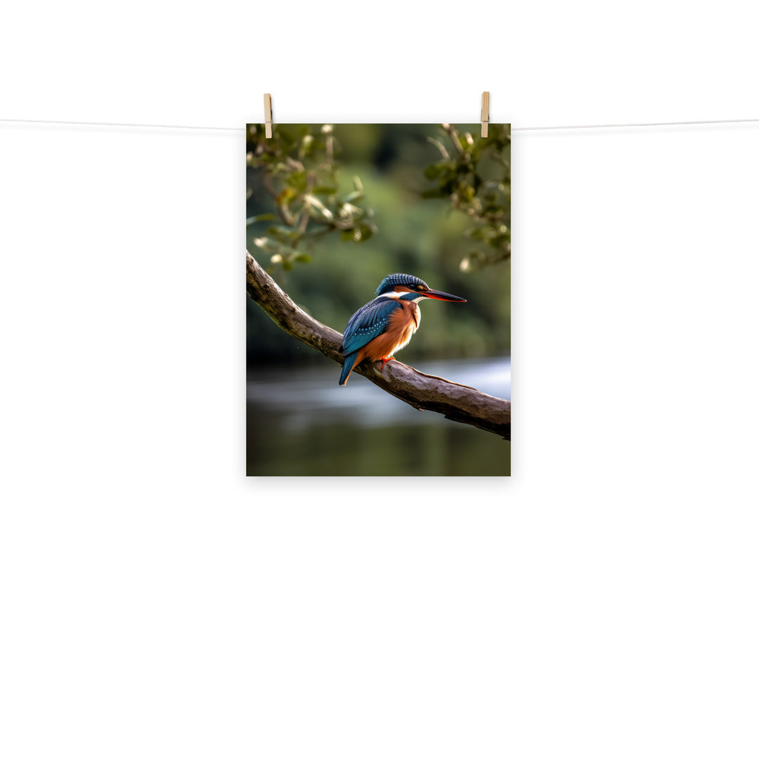 Kingfisher Photo paper poster - PosterfyAI.com