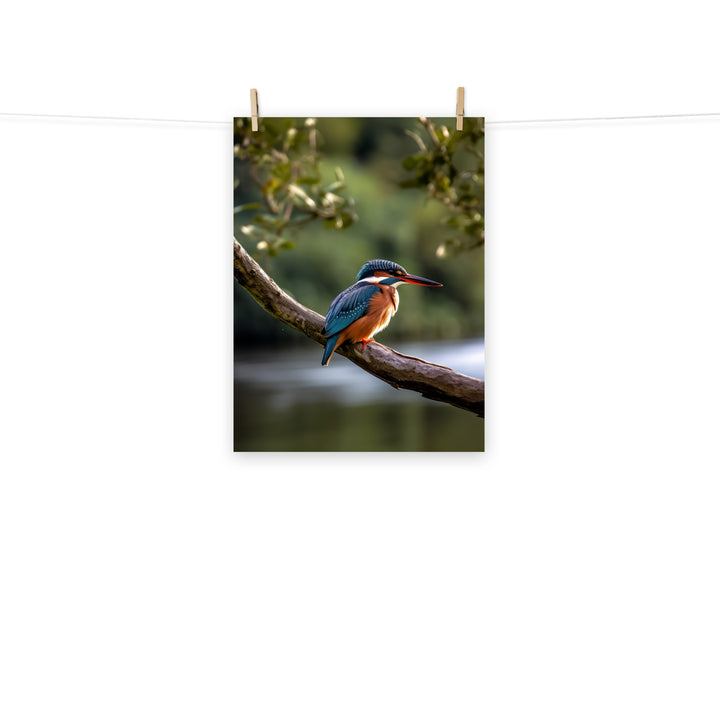 Kingfisher Photo paper poster - PosterfyAI.com