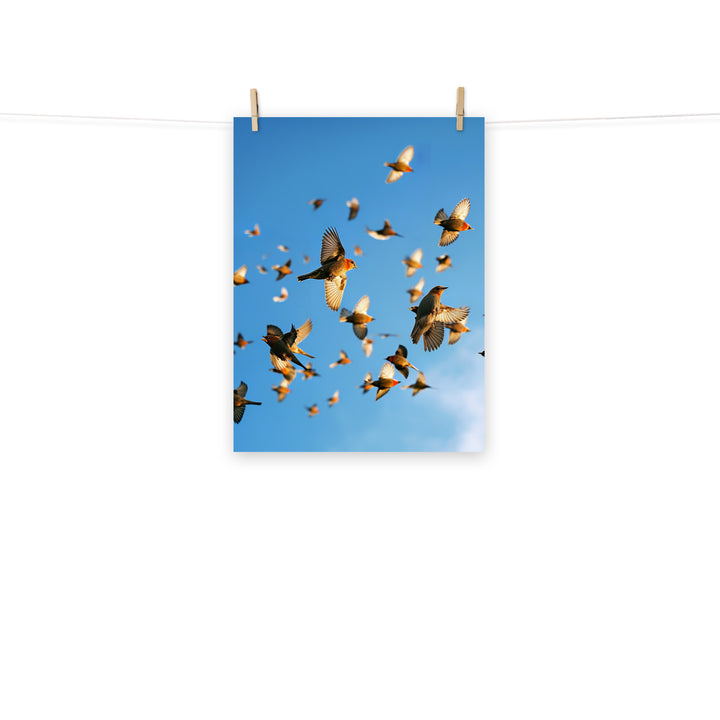 Finch Photo paper poster - PosterfyAI.com