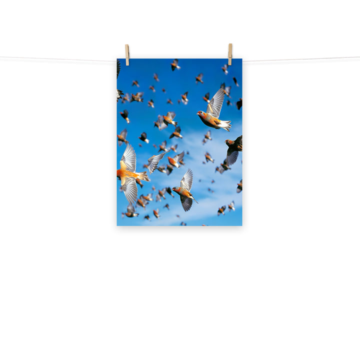 Finch Photo paper poster - PosterfyAI.com