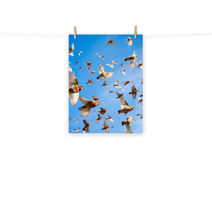Finch Photo paper poster - PosterfyAI.com