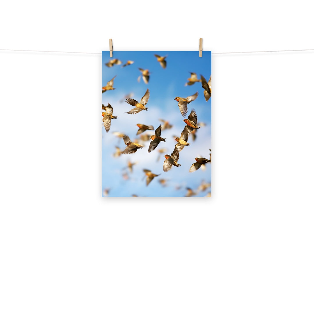 Finch Photo paper poster - PosterfyAI.com