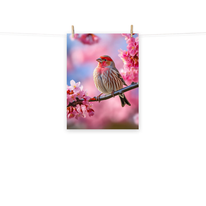 Finch Photo paper poster - PosterfyAI.com