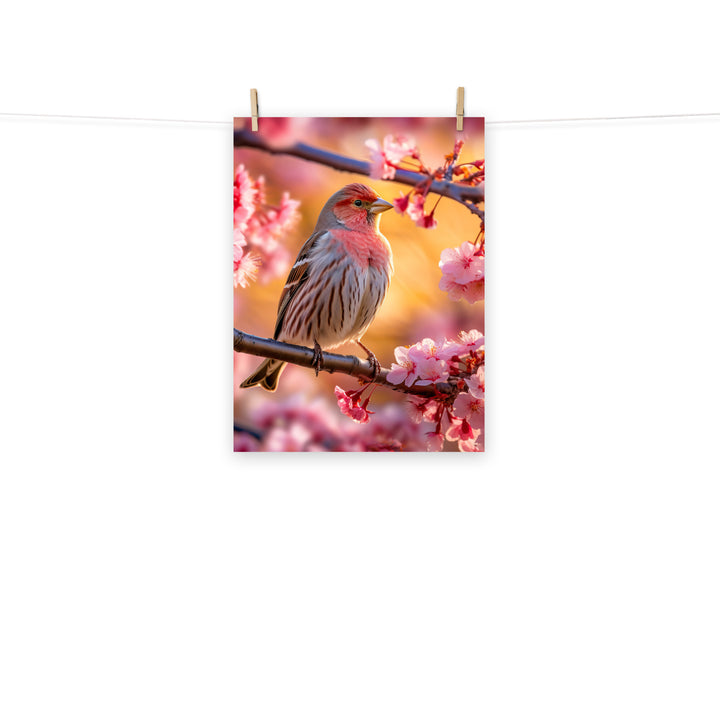 Finch Photo paper poster - PosterfyAI.com