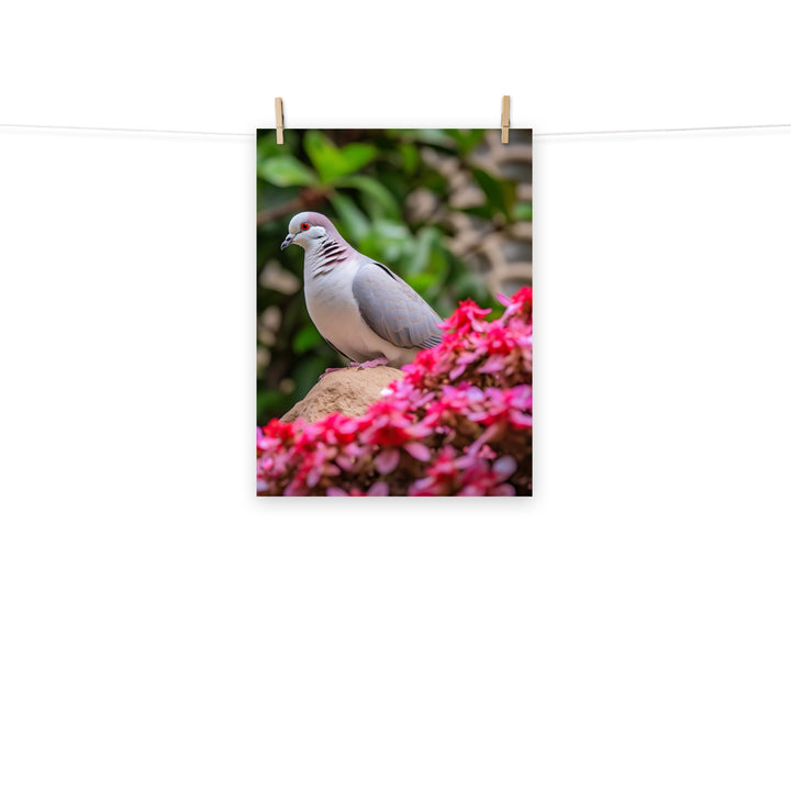 Dove Photo paper poster - PosterfyAI.com