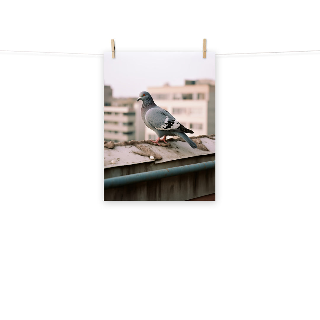 Pigeon Photo paper poster - PosterfyAI.com