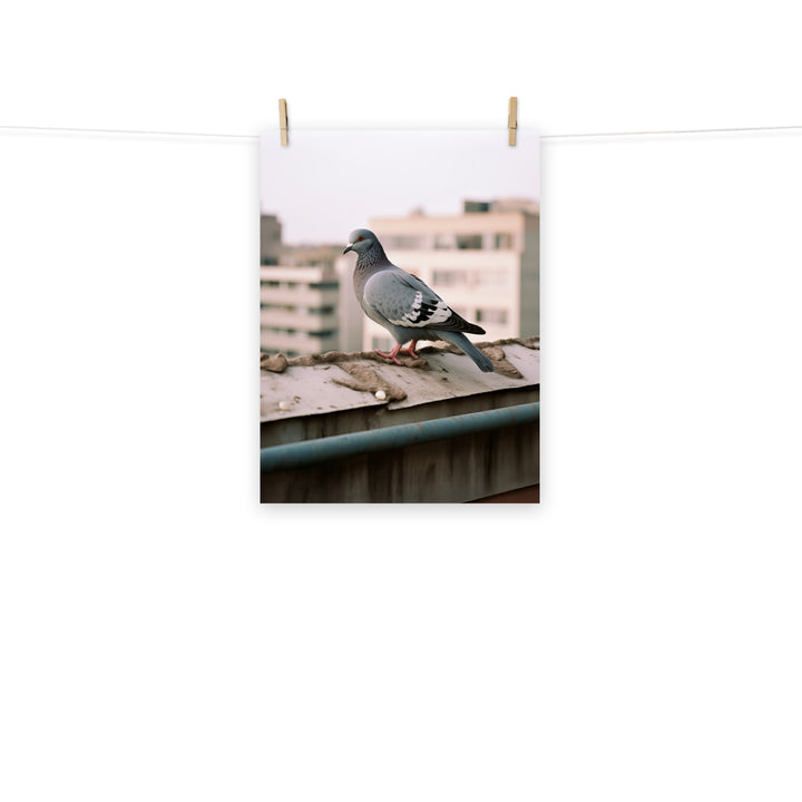 Pigeon Photo paper poster - PosterfyAI.com