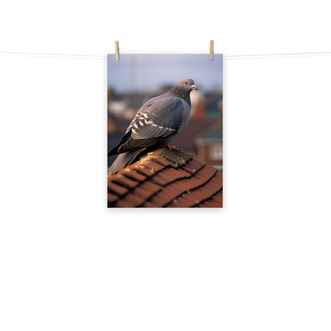 Pigeon Photo paper poster - PosterfyAI.com