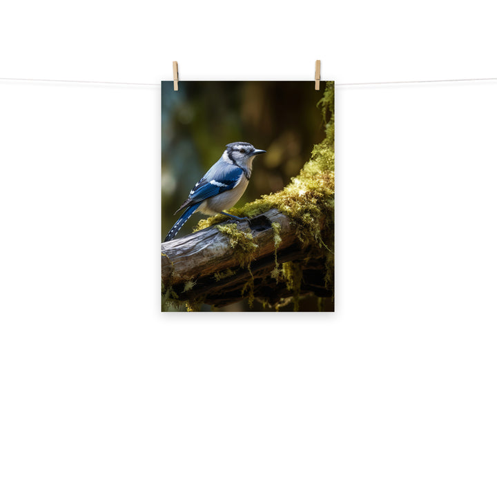 Jay Photo paper poster - PosterfyAI.com