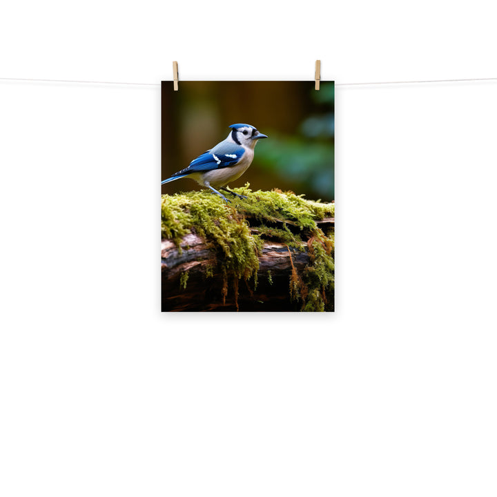 Jay Photo paper poster - PosterfyAI.com