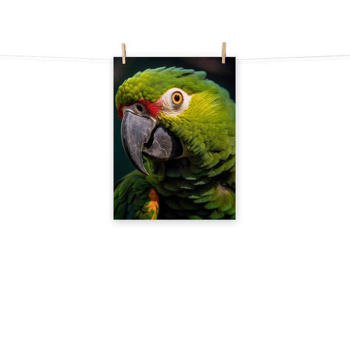 Parrot Photo paper poster - PosterfyAI.com