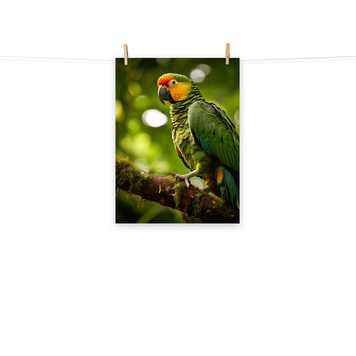 Parrot Photo paper poster - PosterfyAI.com
