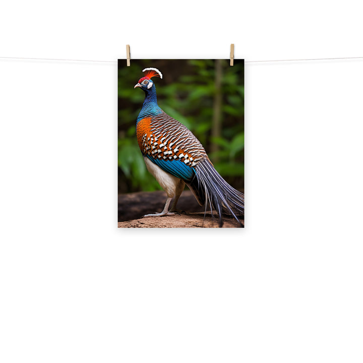 Pheasant Photo paper poster - PosterfyAI.com