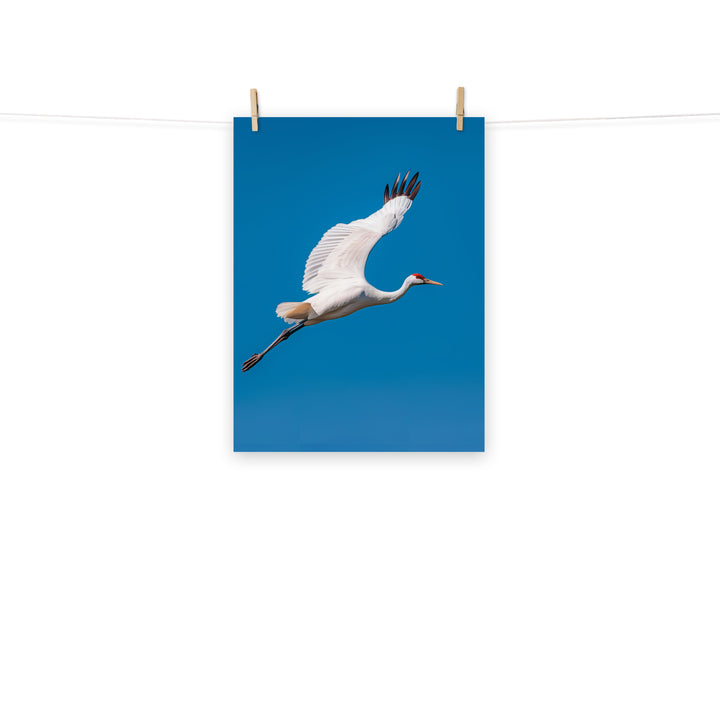 Crane Photo paper poster - PosterfyAI.com