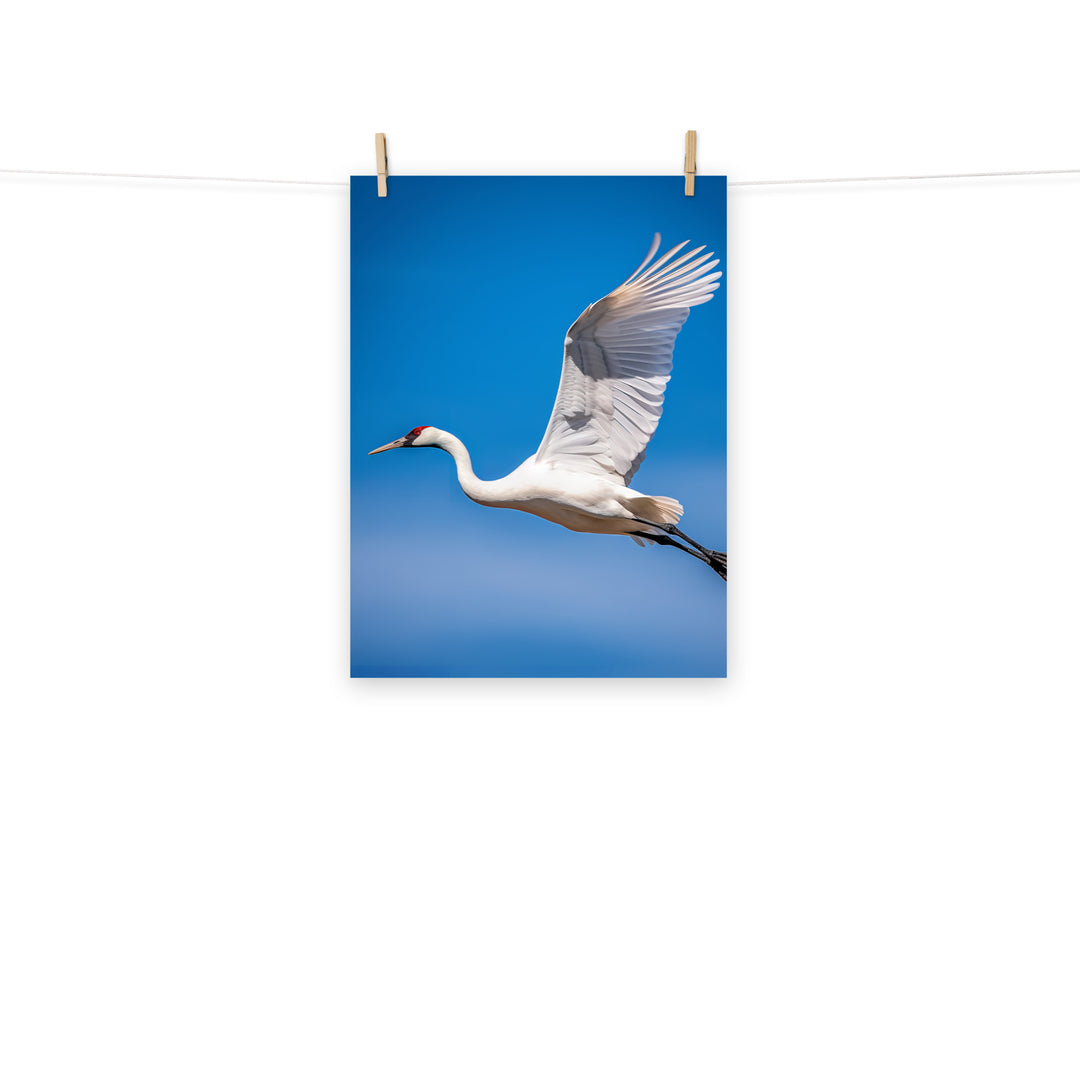 Crane Photo paper poster - PosterfyAI.com
