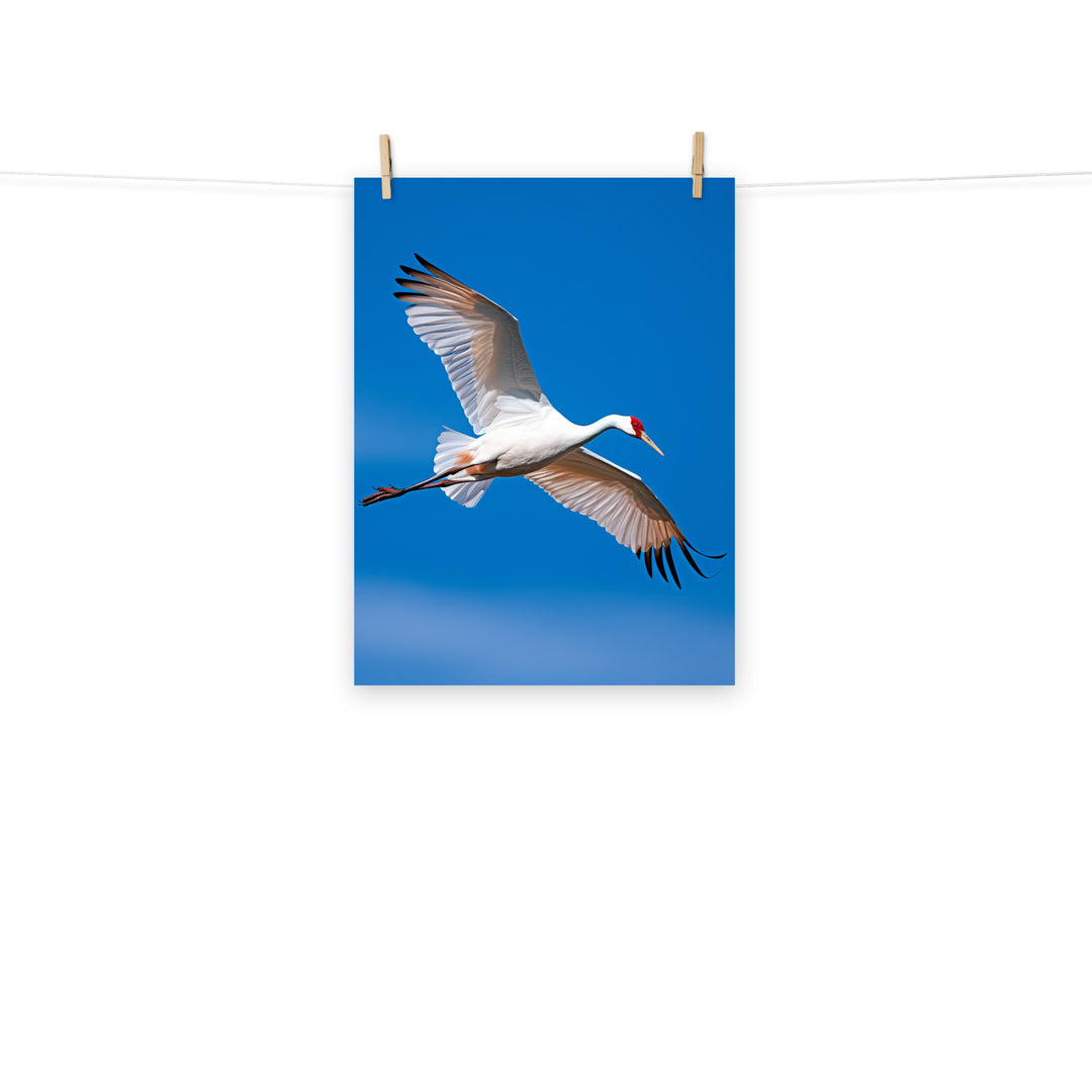 Crane Photo paper poster - PosterfyAI.com