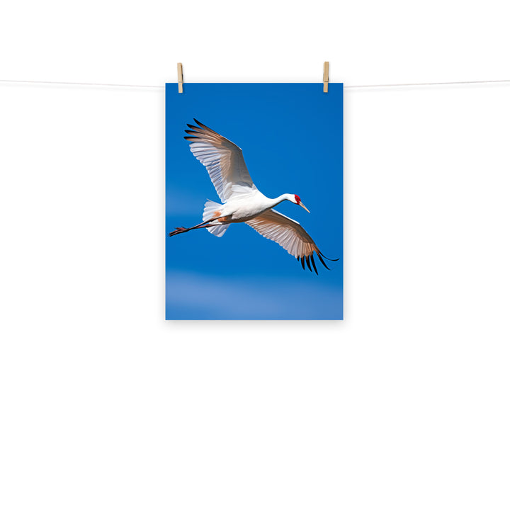 Crane Photo paper poster - PosterfyAI.com