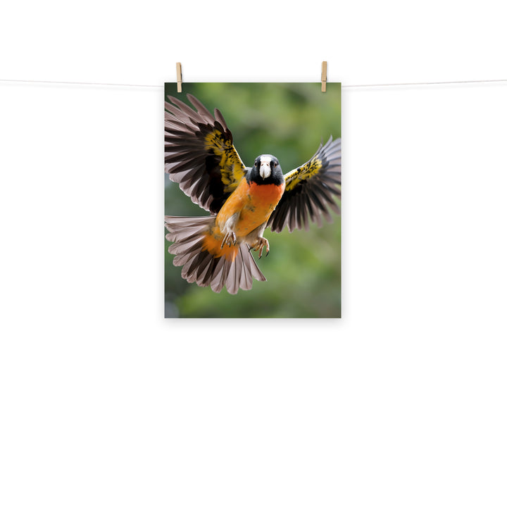 Caique Photo paper poster - PosterfyAI.com