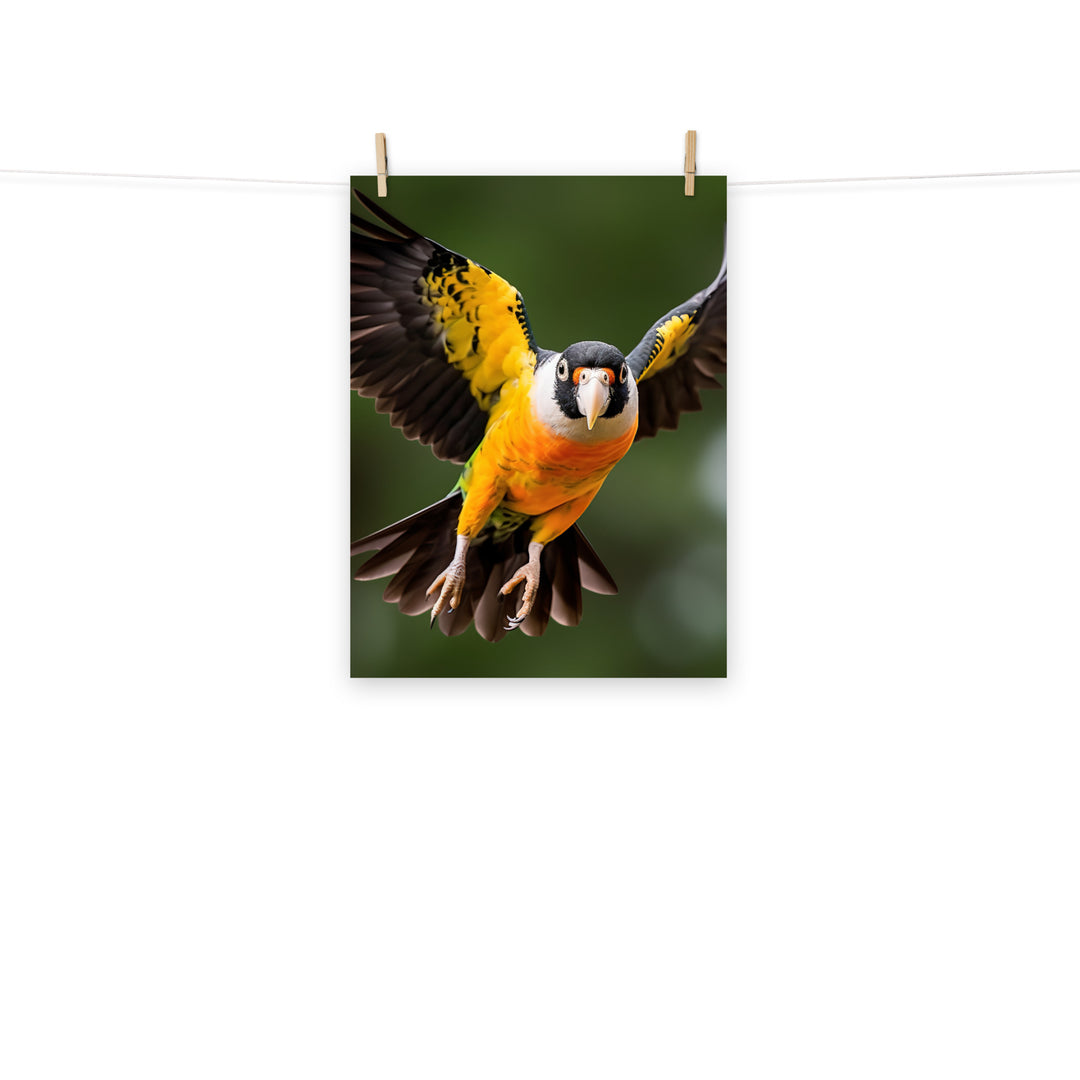 Caique Photo paper poster - PosterfyAI.com