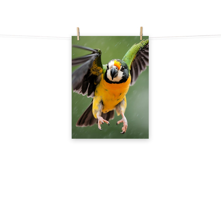 Caique Photo paper poster - PosterfyAI.com