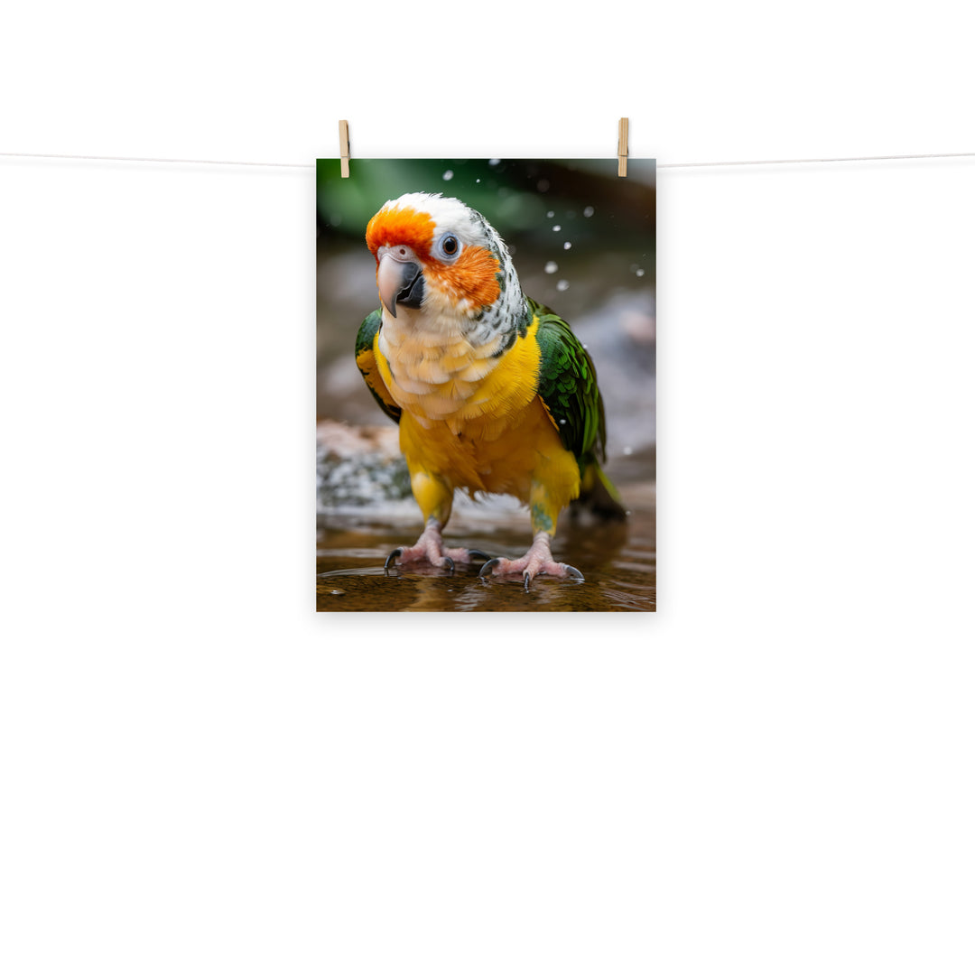 Caique Photo paper poster - PosterfyAI.com