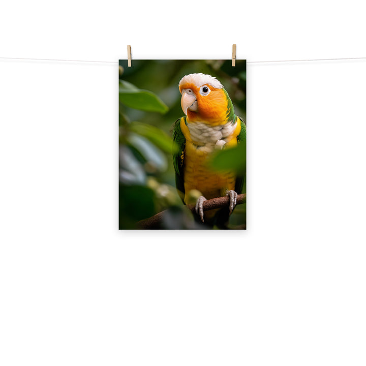 Caique Photo paper poster - PosterfyAI.com