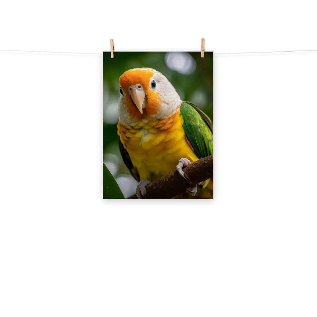 Caique Photo paper poster - PosterfyAI.com