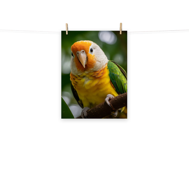 Caique Photo paper poster - PosterfyAI.com